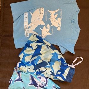 5T shark summer set